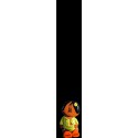 Bebé gordo métis 3