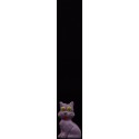 Chat gris 3
