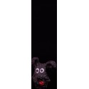 Perro negro 5