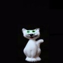 White cat 5