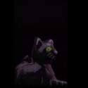 Black cat 1