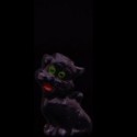 Black cat 2
